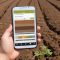 Soil Quality Analysis for Smart and Sustainable Farming