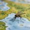 AI Mosquito Mapping in Fighting Mosquito-Borne Diseases