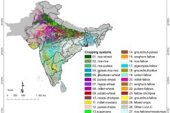 How Geospatial Mapping in Agriculture is Revolutionizing Crop Management Across South Asia By ICRISAT