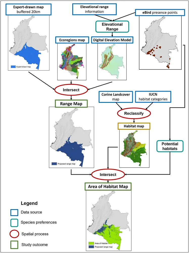 How Colombian Bird Mapping Supports Biodiversity Hotspots- workflow or methodology