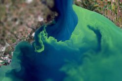 Join the Challenge: Innovators Needed for Space-Based Algal Bloom Monitoring