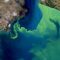 Join the Challenge: Innovators Needed for Space-Based Algal Bloom Monitoring