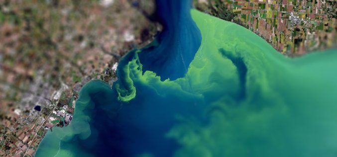 Join the Challenge: Innovators Needed for Space-Based Algal Bloom Monitoring