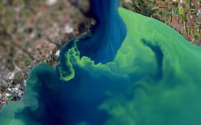 Join the Challenge: Innovators Needed for Space-Based Algal Bloom Monitoring