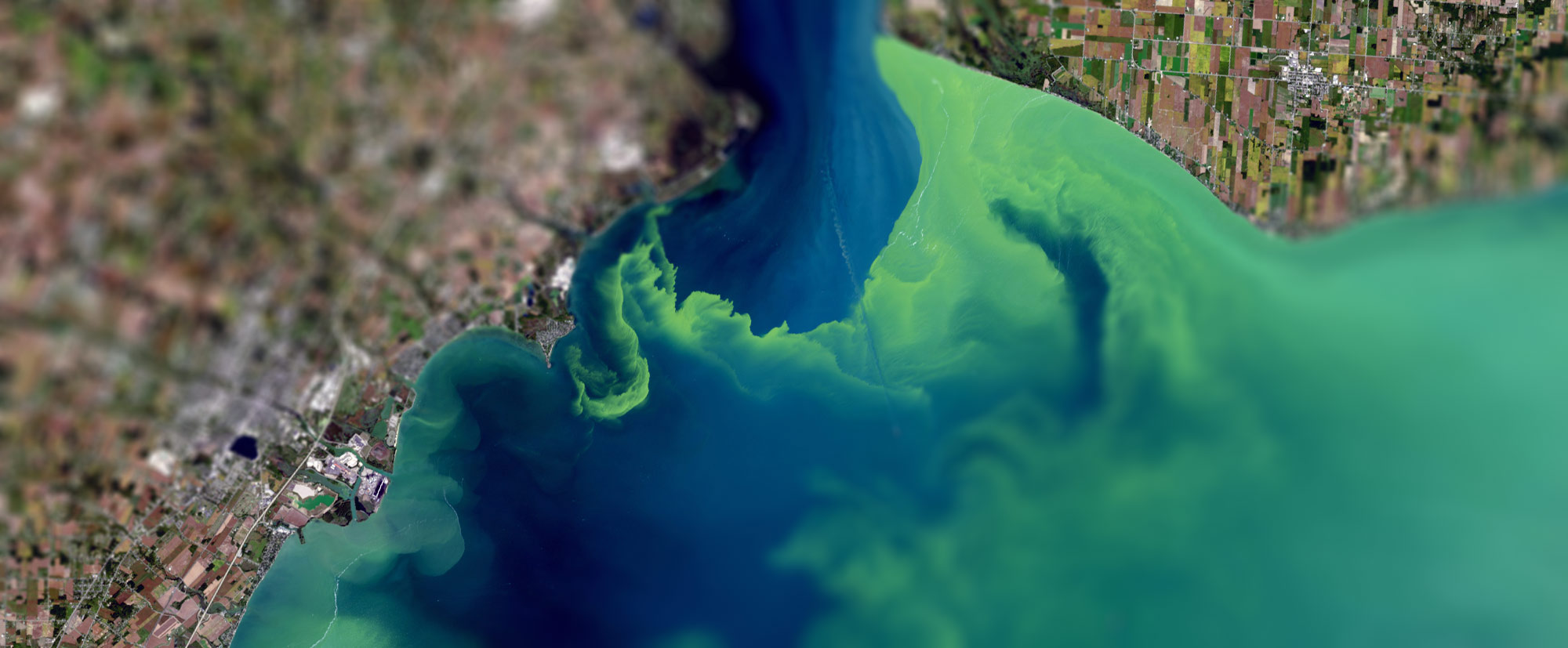 Space-Based Algal Bloom Monitoring-monitor blue-green algal blooms
