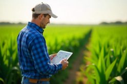 How CropSmart Digital Twin is Revolutionizing Precision Agriculture