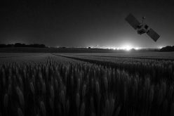 ​ISRO Satellite Monitoring Projects 122.7 Million Tonnes of Wheat for Rabi 2024-25